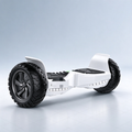 Dynamic Hoverboard